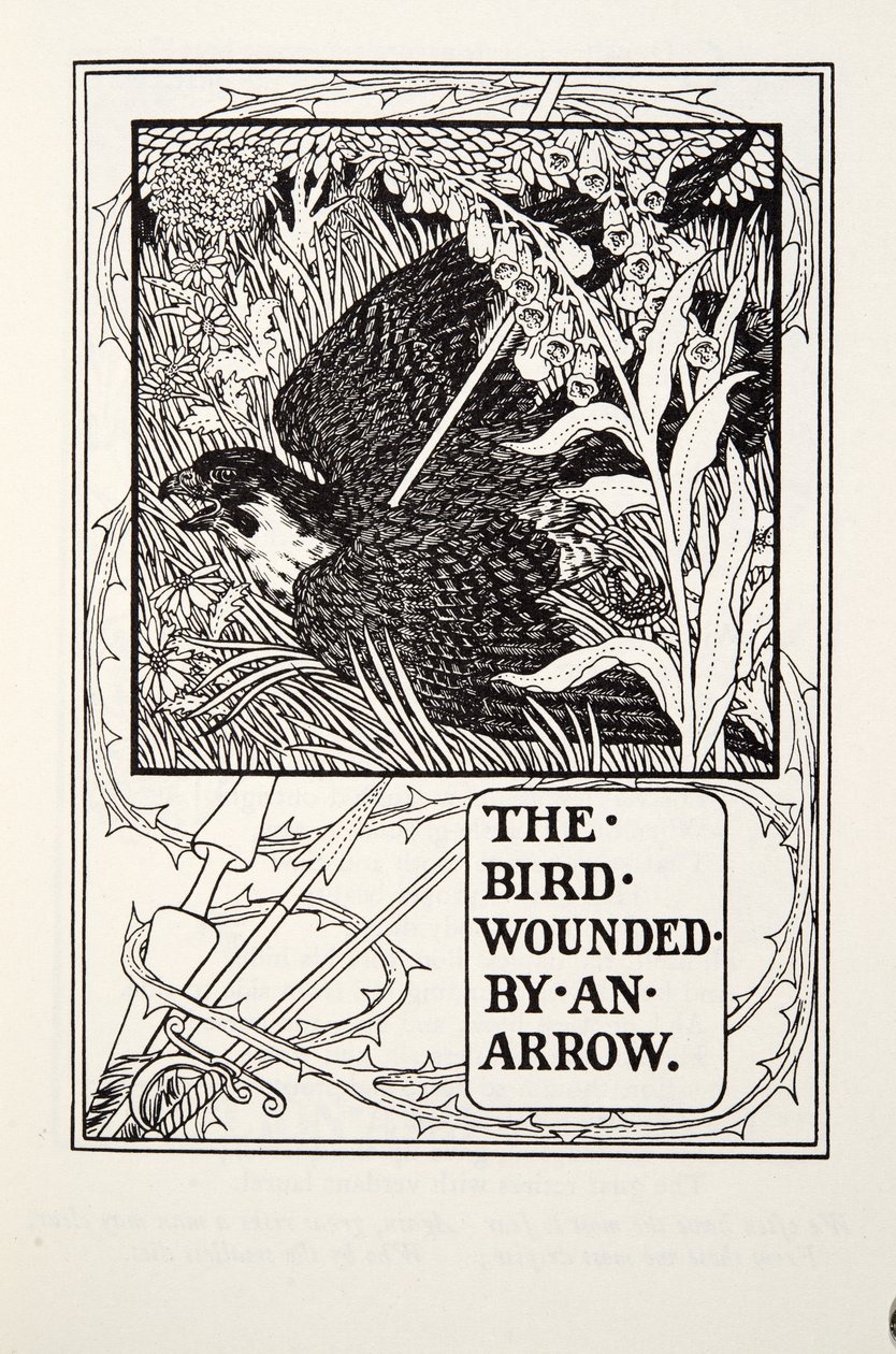 Fågeln sårad av en pil, från Fontaine Fables, pub. 1905 av Percy J. Billingshurst