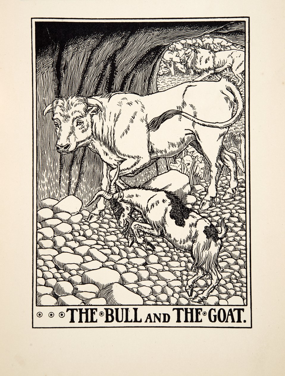 Tjuren och geten, från Aesops hundra fabler, pub.1903 (gravyr) av Percy J. Billingshurst