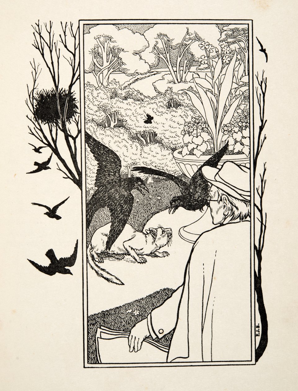 Katten och kråkorna, från Hundra anekdoter av djur, pub. 1924 (gravyr) av Percy J. Billingshurst