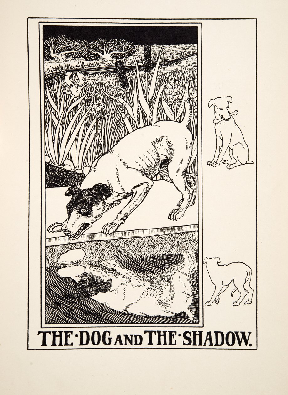 Hunden och skuggan, från Aesops hundra fabler, pub.1903 av Percy J. Billingshurst