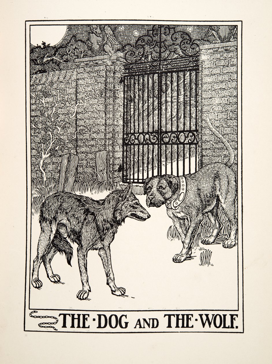 Hunden och vargen, från Aesops hundra fabler, pub.1903 (gravyr) av Percy J. Billingshurst