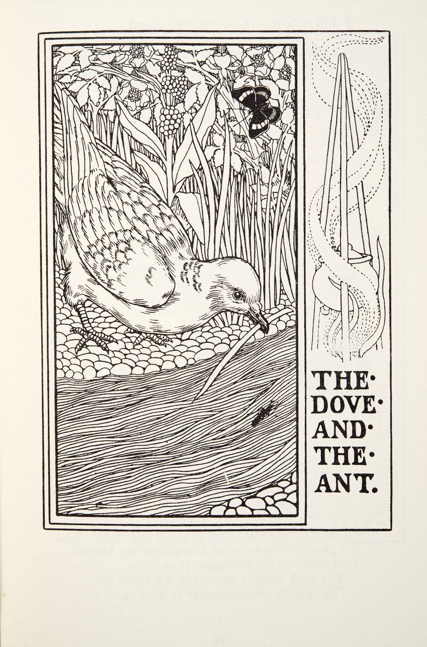 Duvan och myran, från Fontaine Fables, pub. 1905 av Percy J. Billingshurst