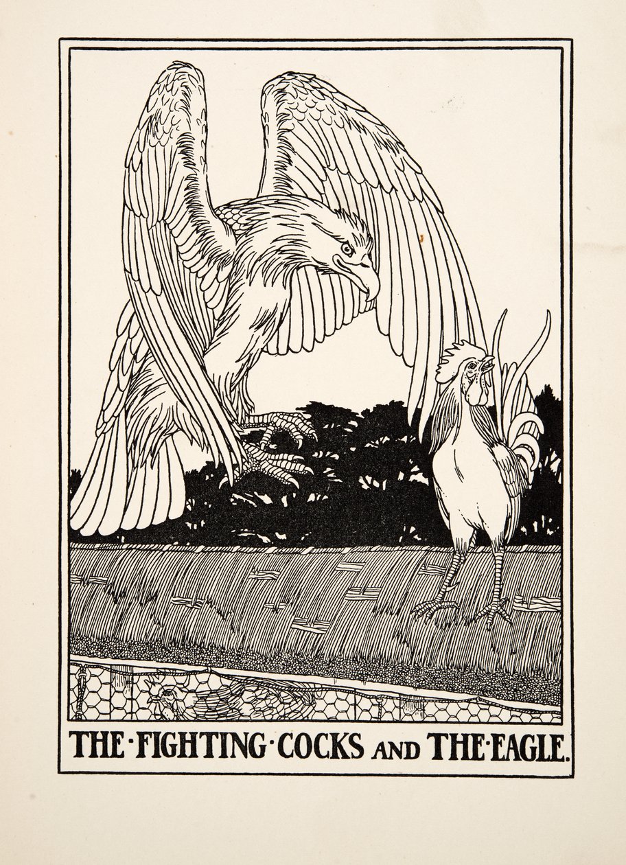 Fighting Cocks and the Eagle, från A Hundred Fables of Aesop, pub.1903 av Percy J. Billingshurst