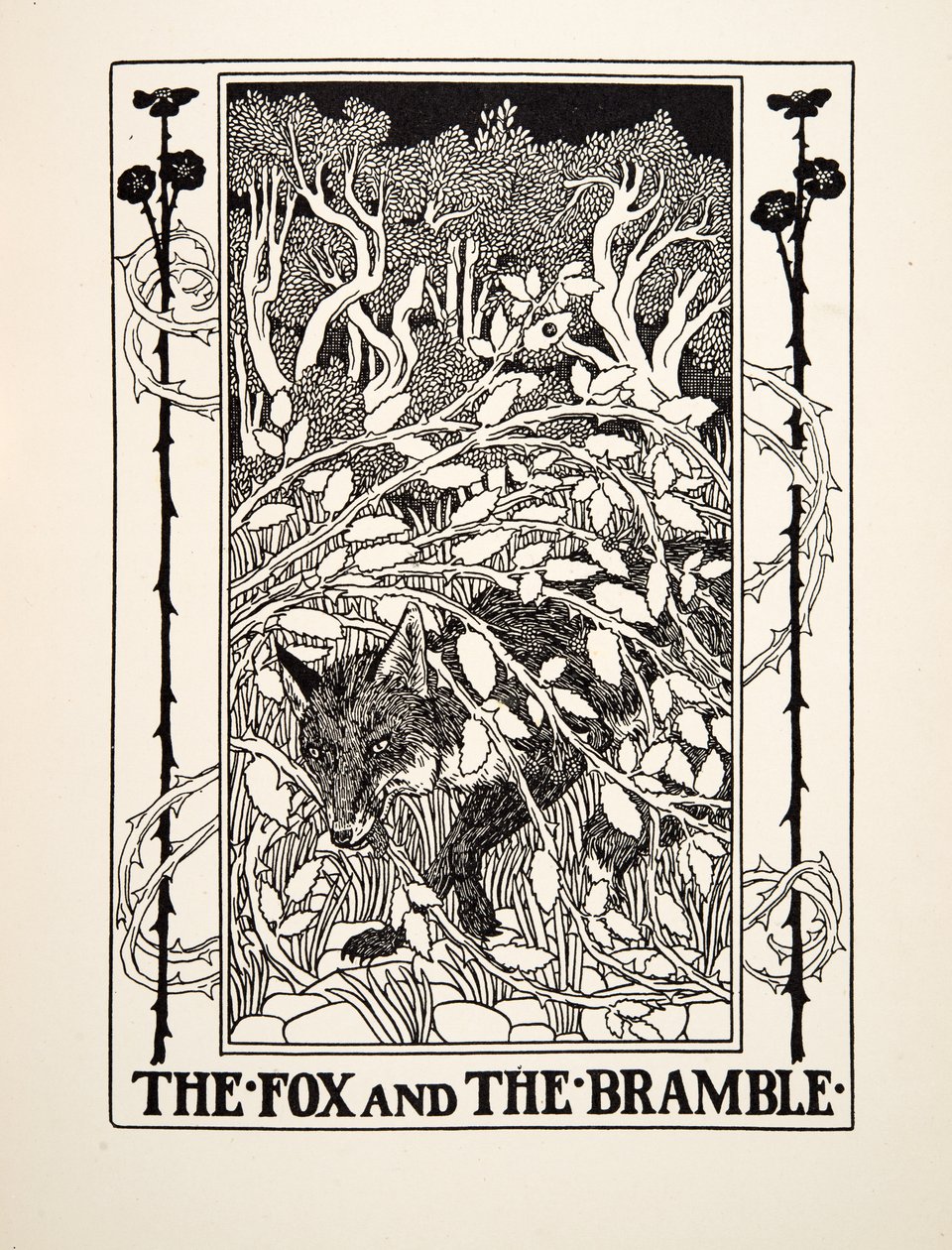 The Fox and the Bramble, från A Hundred Fables of Aesop, pub.1903 av Percy J. Billingshurst