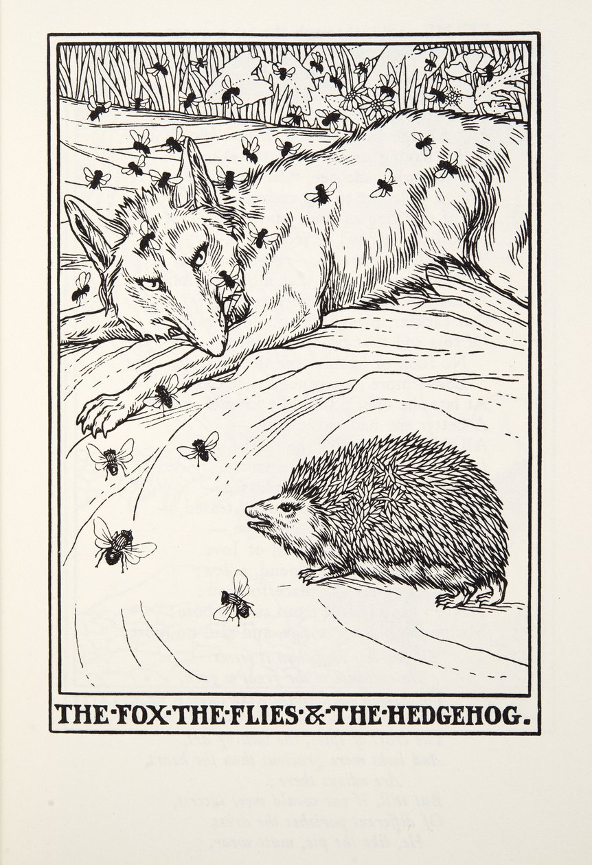 The Fox, the Flies and the Hedgehog, från Fontaine Fables, pub. 1905 av Percy J. Billingshurst