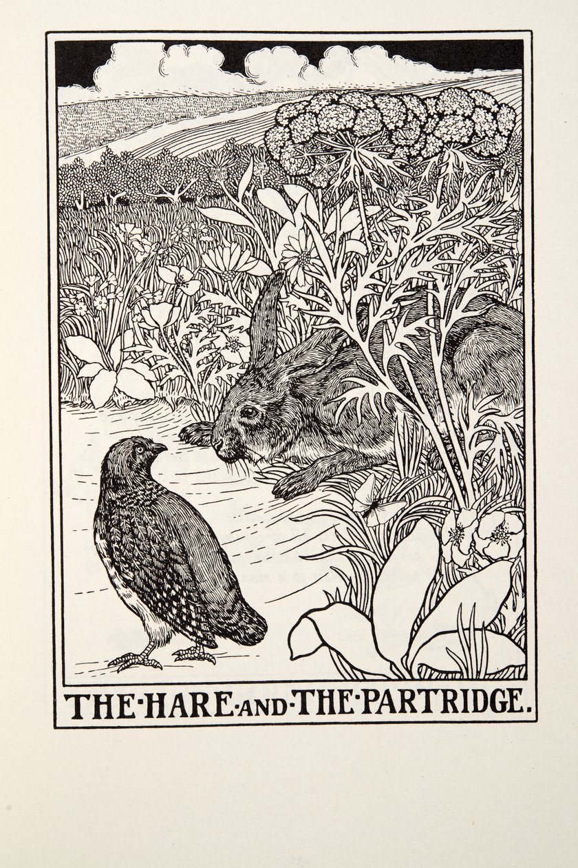 Haren och rapphönan, från Fontaine Fables, pub. 1905 av Percy J. Billingshurst