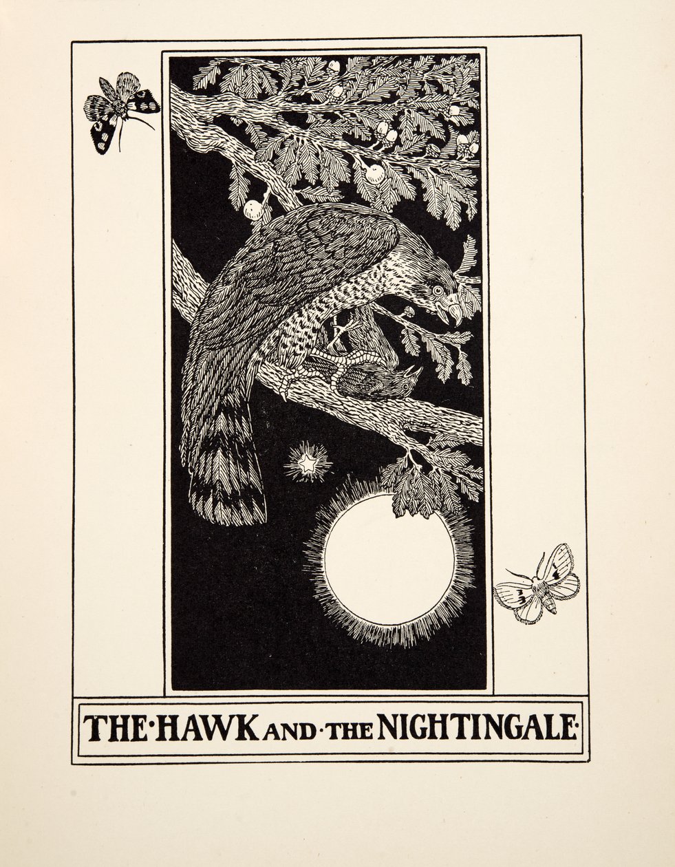 Höken och näktergalen, från Aesops hundra fabler, pub.1903 av Percy J. Billingshurst