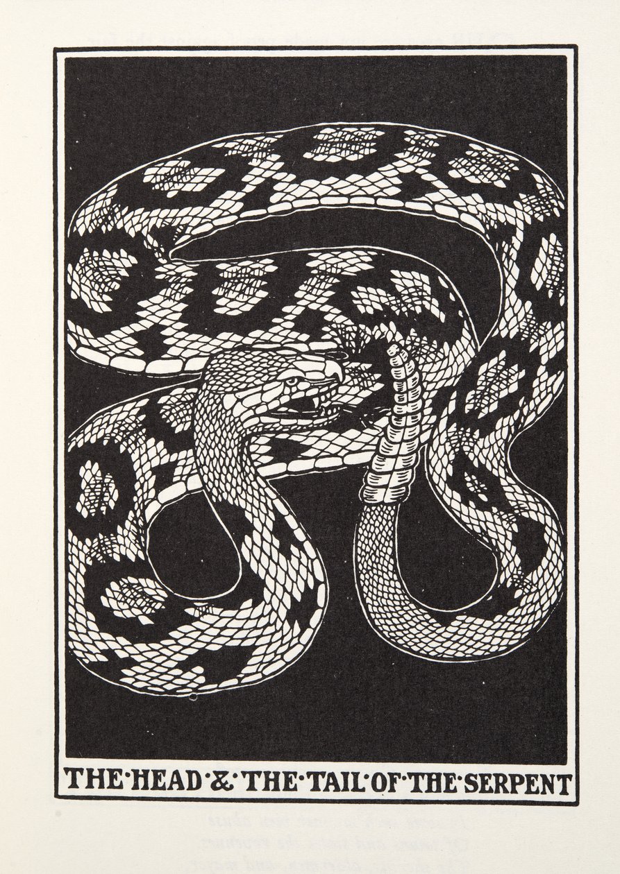 Ormens huvud och svans, från Fontaine Fables, pub. 1905 (gravyr) av Percy J. Billingshurst