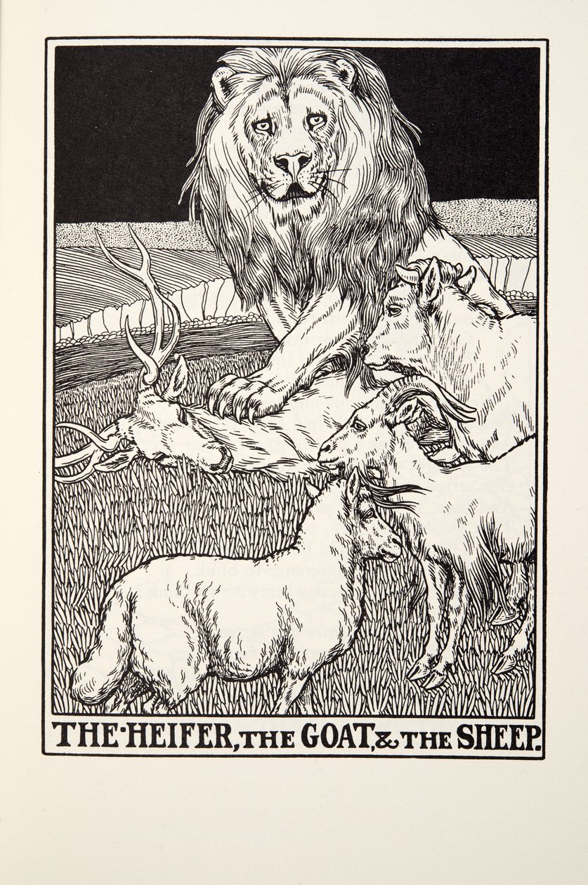 Kvigan, geten och fåret, från Fontaine Fables, pub. 1905 av Percy J. Billingshurst