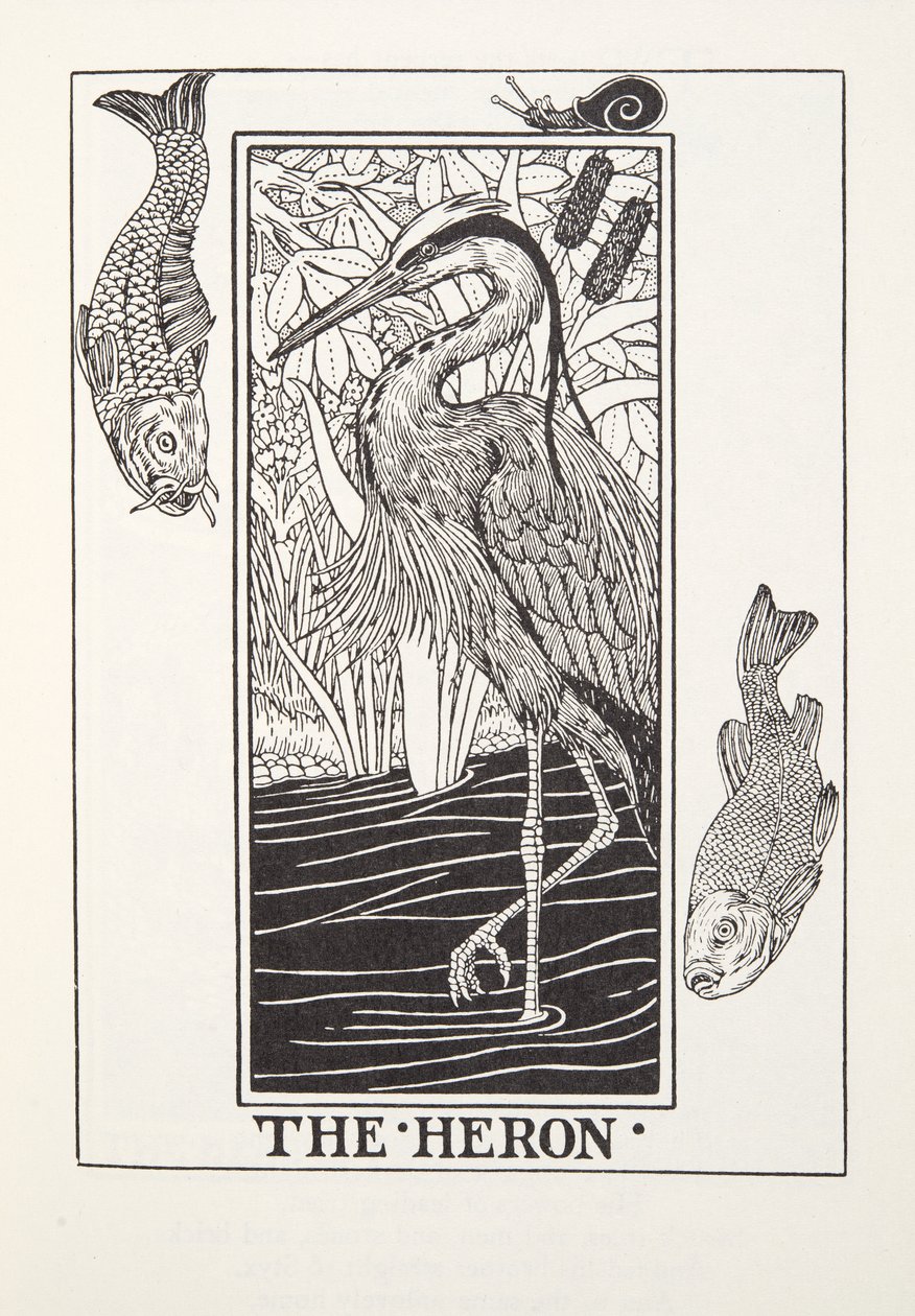 The Heron, från Fontaine Fables, pub. 1905 (gravyr) av Percy J. Billingshurst