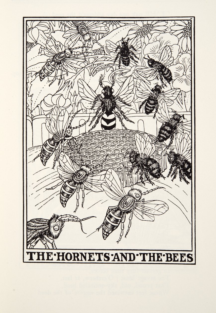 Hornets and the Bees, från Fontaine Fables, pub. 1905 (gravyr) av Percy J. Billingshurst