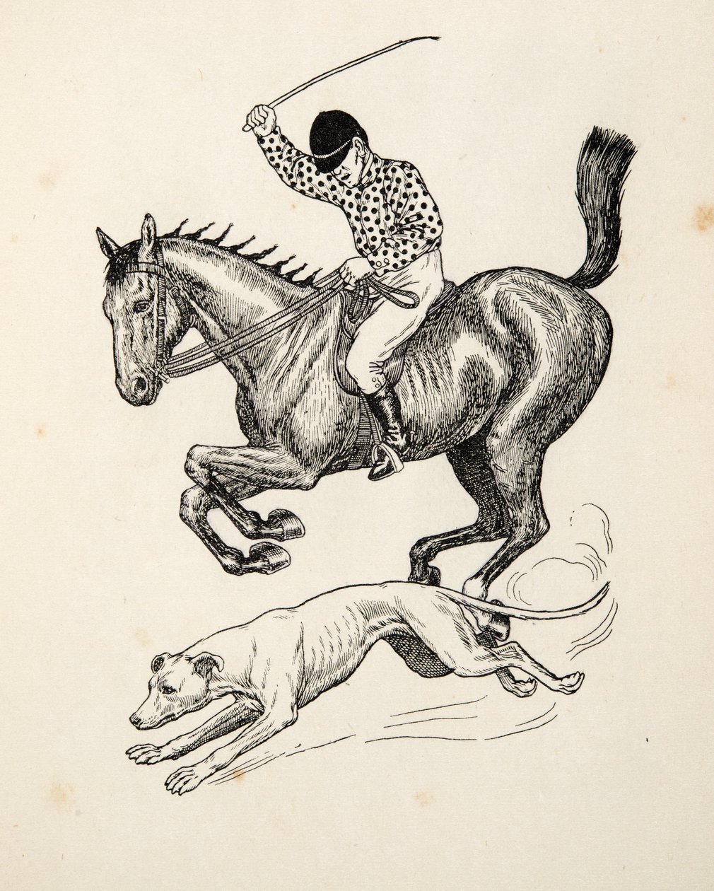 Hästen och vinthunden, från Hundra anekdoter av djur, pub. 1924 av Percy J. Billingshurst