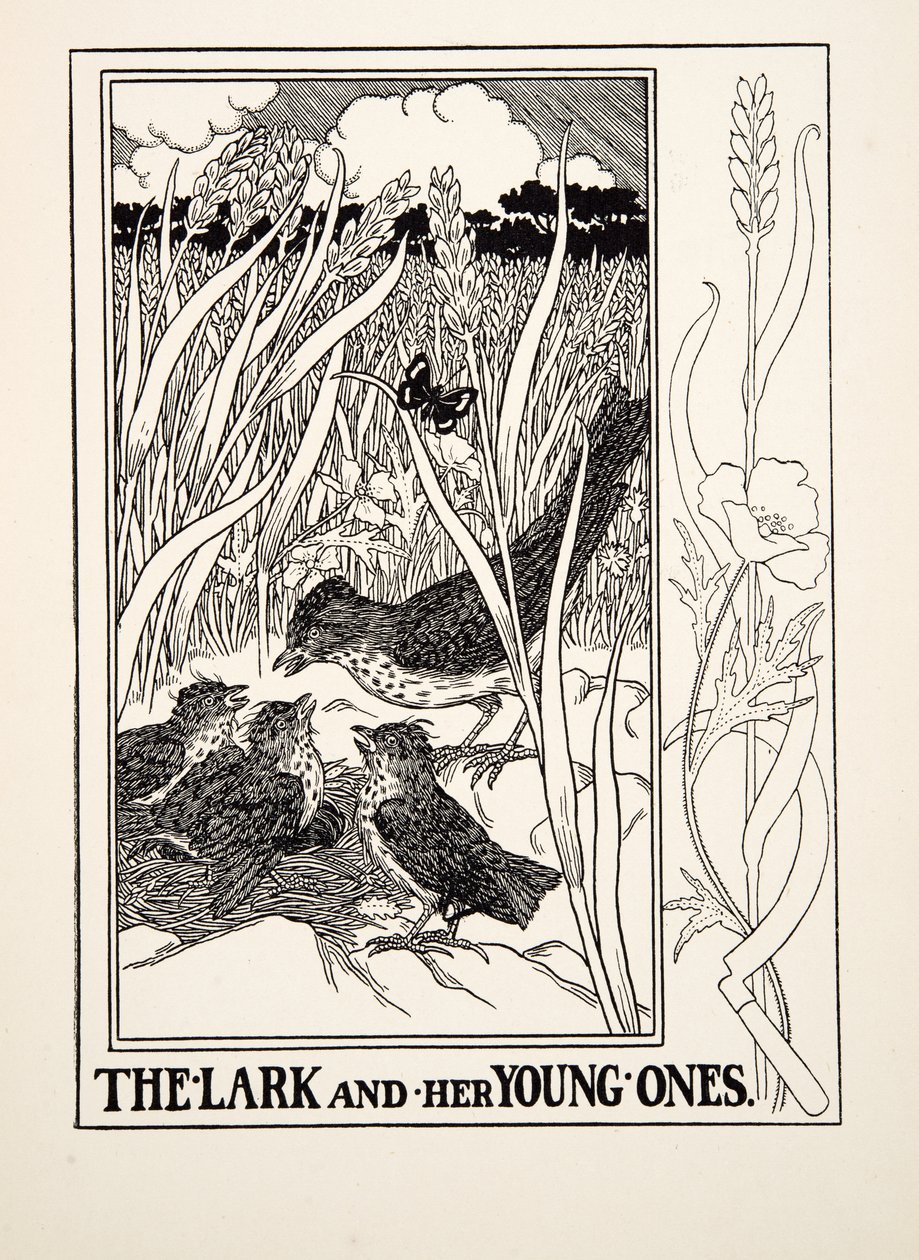 The Lark and her Young Ones, från A Hundred Fables of Aesop, pub.1903 (gravyr) av Percy J. Billingshurst