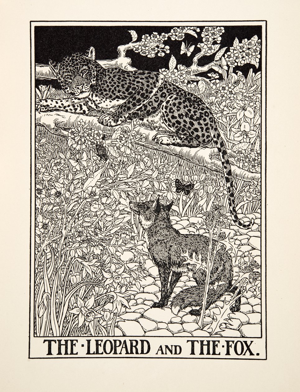 Leoparden och räven, från Aesops hundra fabler, pub.1903 av Percy J. Billingshurst