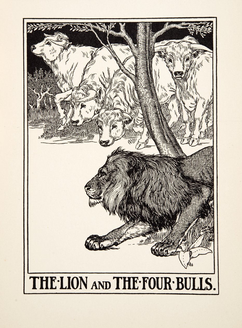 Lejonet och de fyra tjurarna, från Aesops hundra fabler, pub.1903 (gravyr) av Percy J. Billingshurst