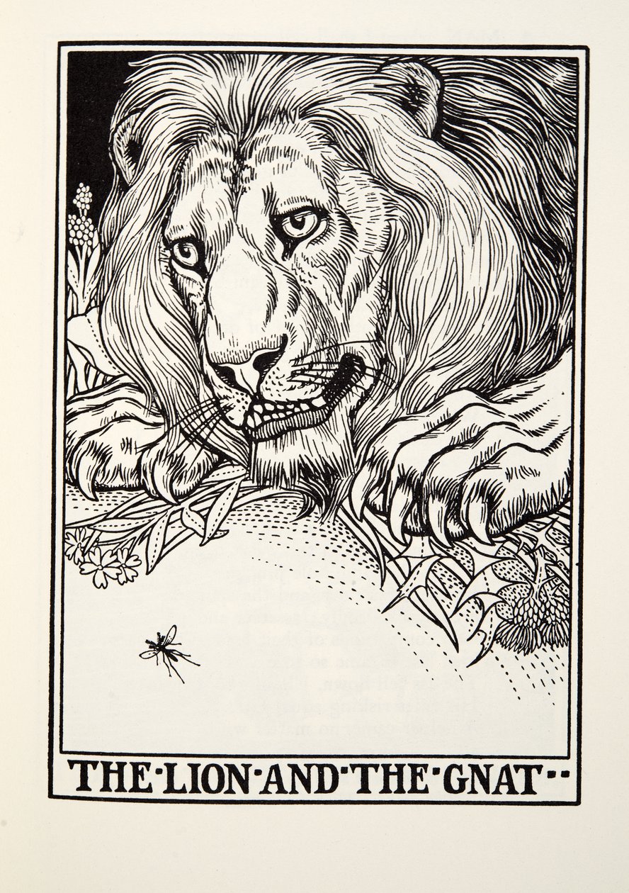 The Lion and the Gnat, från Fontaine Fables, pub. 1905 av Percy J. Billingshurst