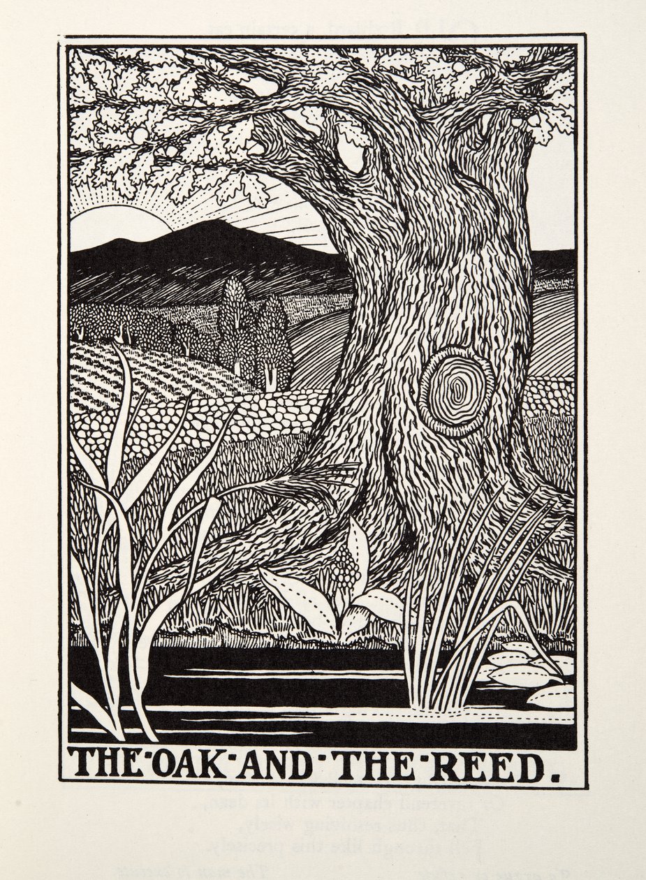 The Oak and the Reed, från Fontaine Fables, pub. 1905 av Percy J. Billingshurst