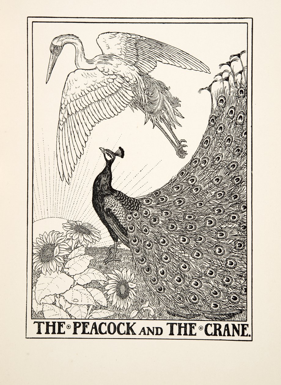 Påfågeln och tranan, från Aesops hundra fabler, pub.1903 av Percy J. Billingshurst