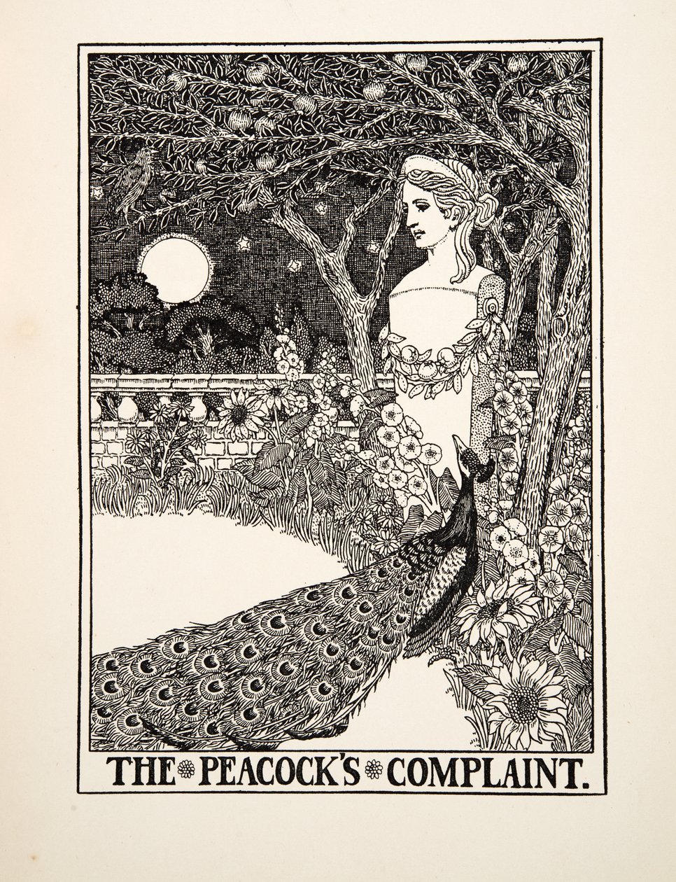The Peacocks Complaint, från A Hundred Fables of Aesop, pub.1903 av Percy J. Billingshurst