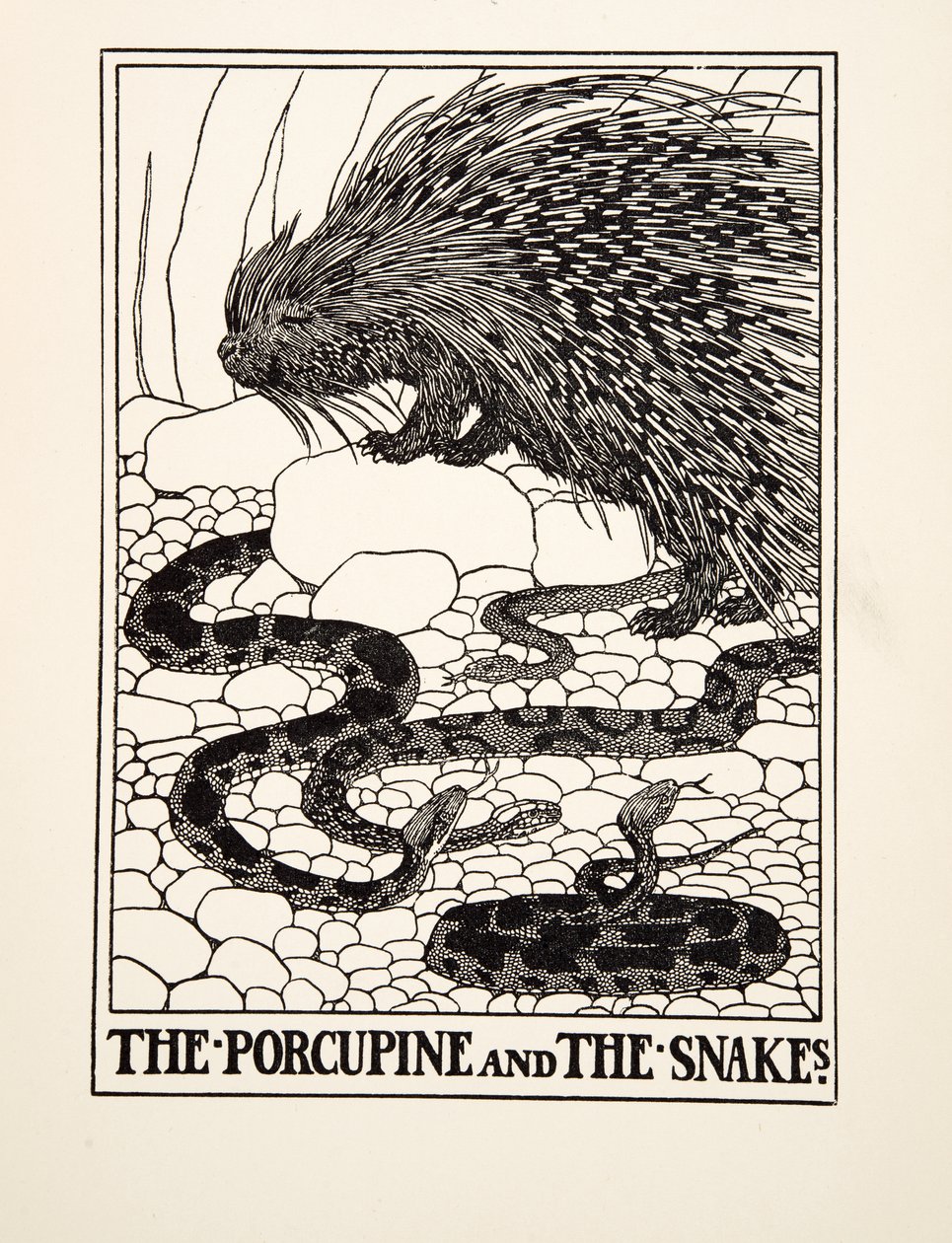 Porcupine and the Snakes, från A Hundred Fables of Aesop, pub.1903 (gravyr) av Percy J. Billingshurst