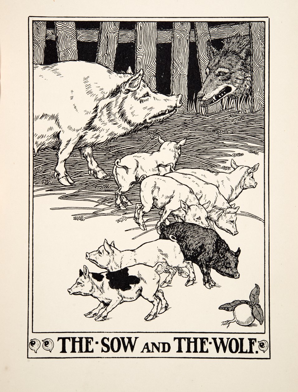 Svinet och vargen, från A Hundred Fables of Aesop, utgiven 1903 (gravyr) av Percy J. Billingshurst