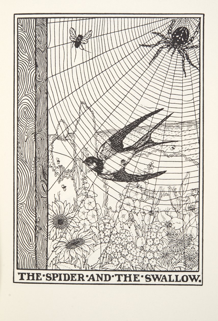 Spindeln och svalan, från Fontaine Fables, pub. 1905 av Percy J. Billingshurst