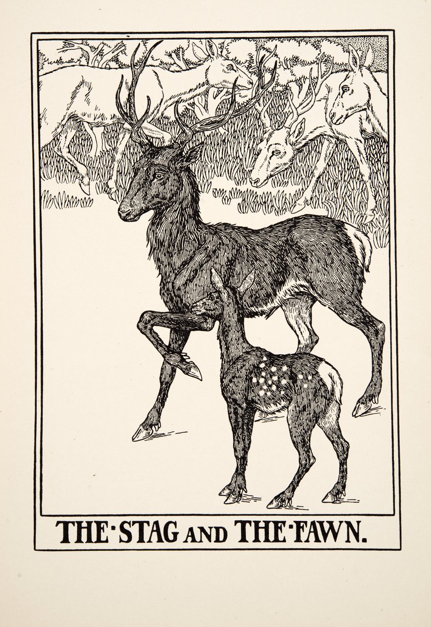 The Stag and the Fawn, från A Hundred Fables of Aesop, pub.1903 av Percy J. Billingshurst