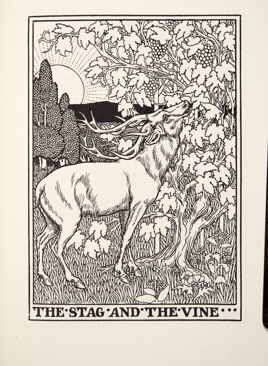 The Stag and the Vine, från Fontaine Fables, pub. 1905 av Percy J. Billingshurst