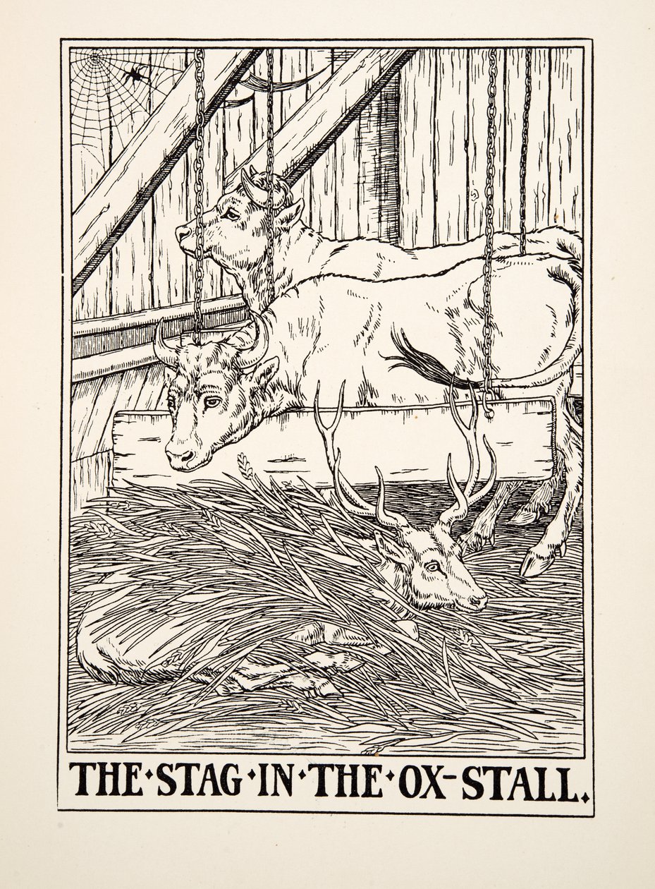 The Stag in the Ox Stall, från A Hundred Fables of Aesop, pub.1903 (gravyr) av Percy J. Billingshurst