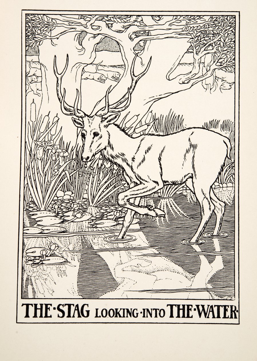 The Stag looking into the Water, från A Hundred Fables of Aesop, pub.1903 (gravyr) av Percy J. Billingshurst