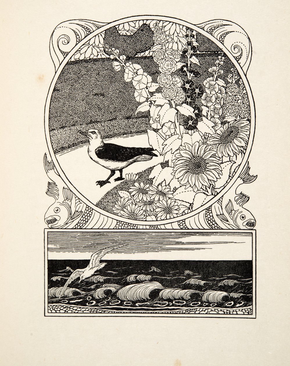 Den tama måsen, från A Hundred Anecdotes of Animals, pub. 1924 (gravyr) av Percy J. Billingshurst
