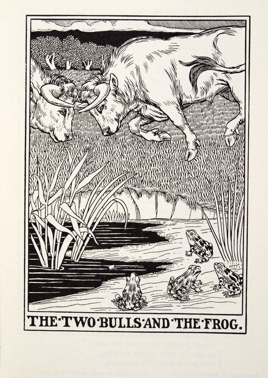 De två tjurarna och grodan, från Fontaine Fables, pub. 1905 av Percy J. Billingshurst