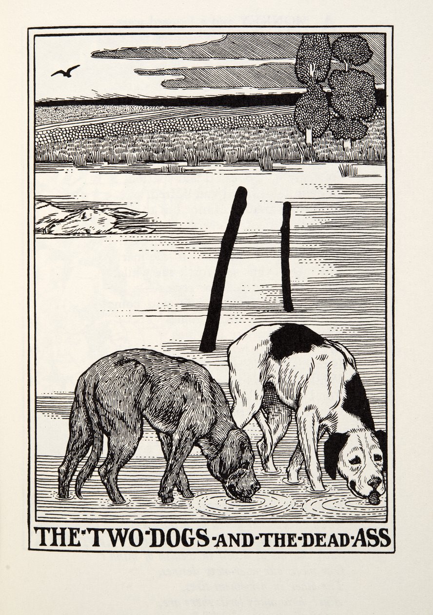 The Two Dogs and the Dead Ass, från Fontaine Fables, pub. 1905 av Percy J. Billingshurst