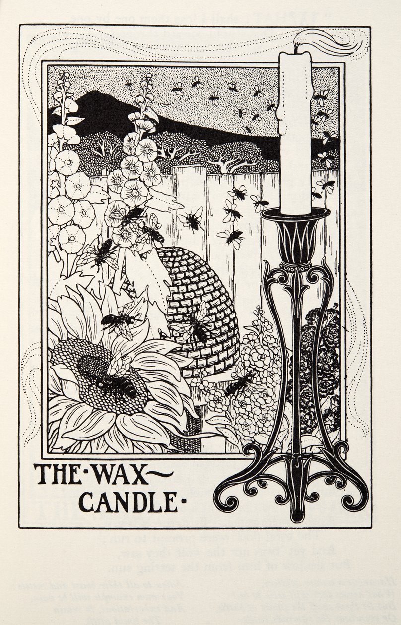 The Wax Candle, från Fontaine Fables, pub. 1905 av Percy J. Billingshurst