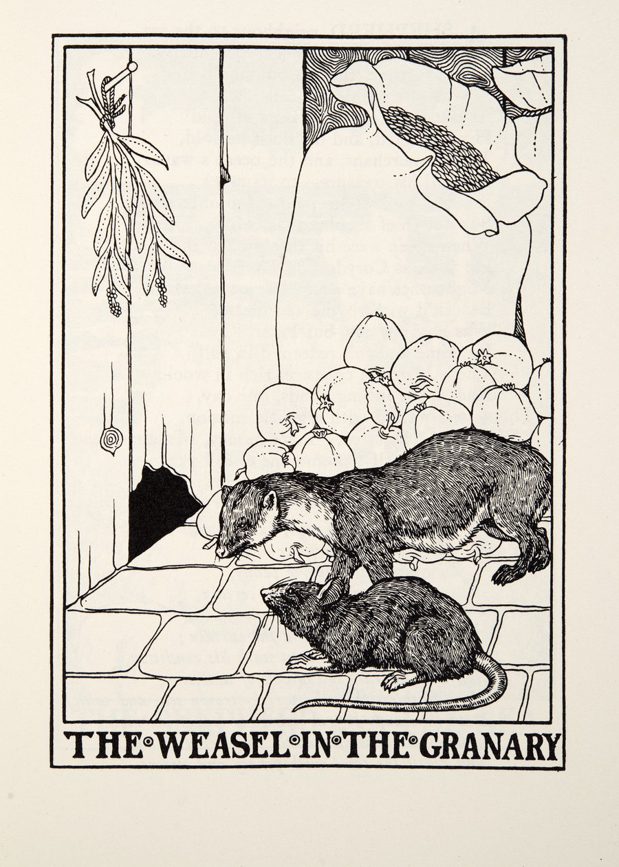 The Weasel in the Granary, från Fontaine Fables, pub. 1905 av Percy J. Billingshurst