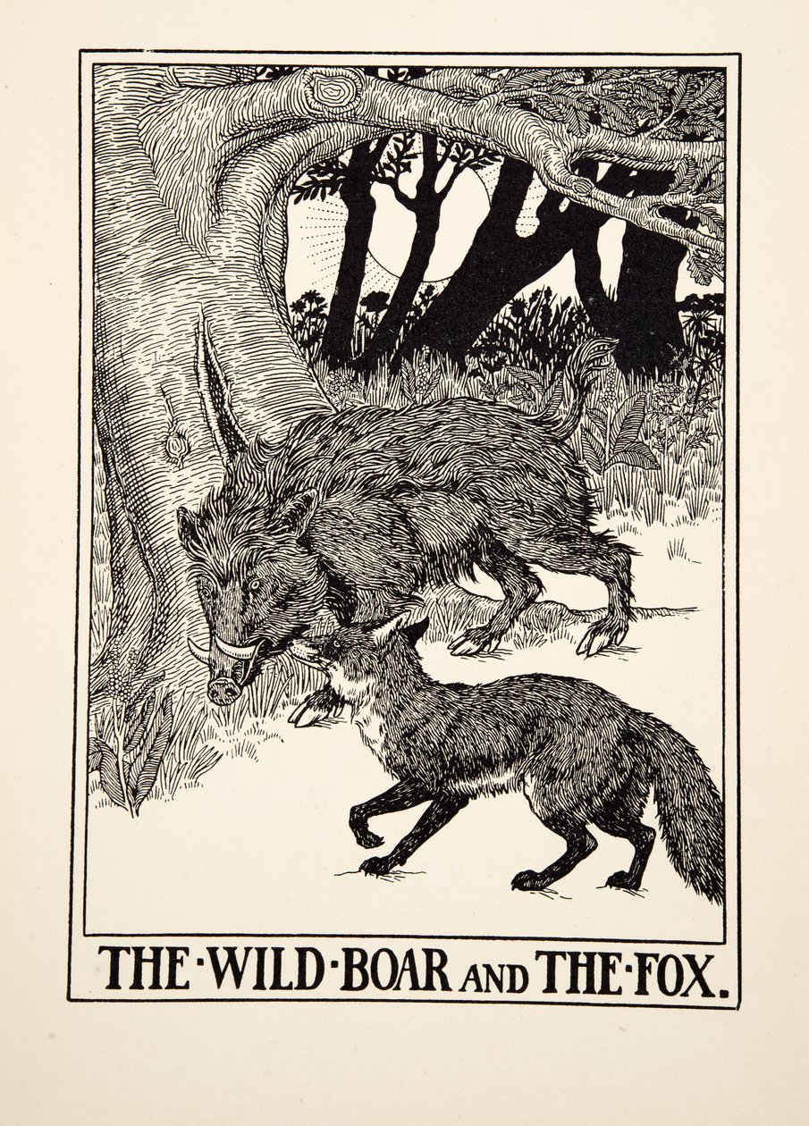 Vildsvinet och räven, från Aesops hundra fabler, pub.1903 (gravyr) av Percy J. Billingshurst