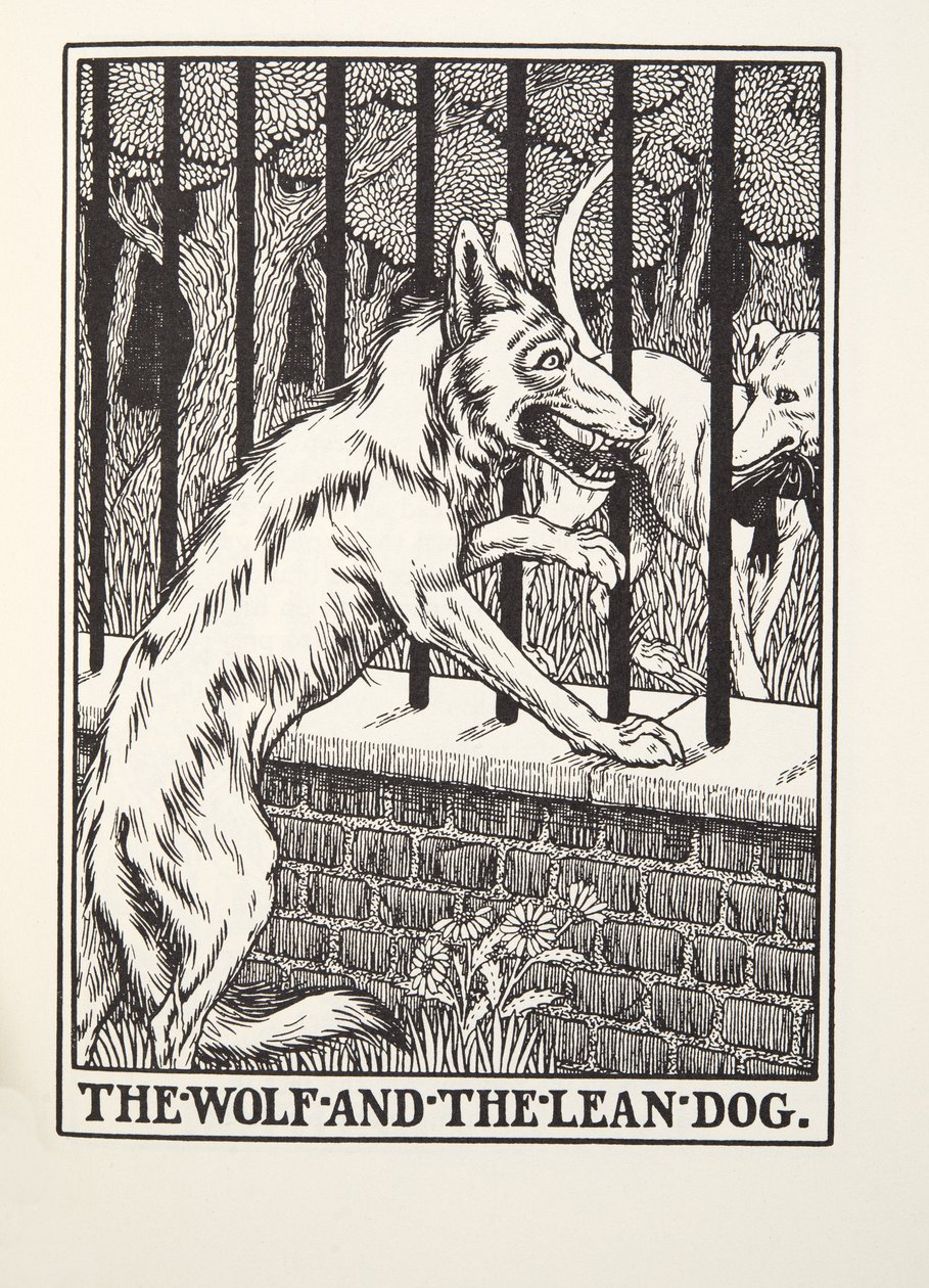 Vargen och den magra hunden, från Fontaine Fables, pub. 1905 (gravyr) av Percy J. Billingshurst