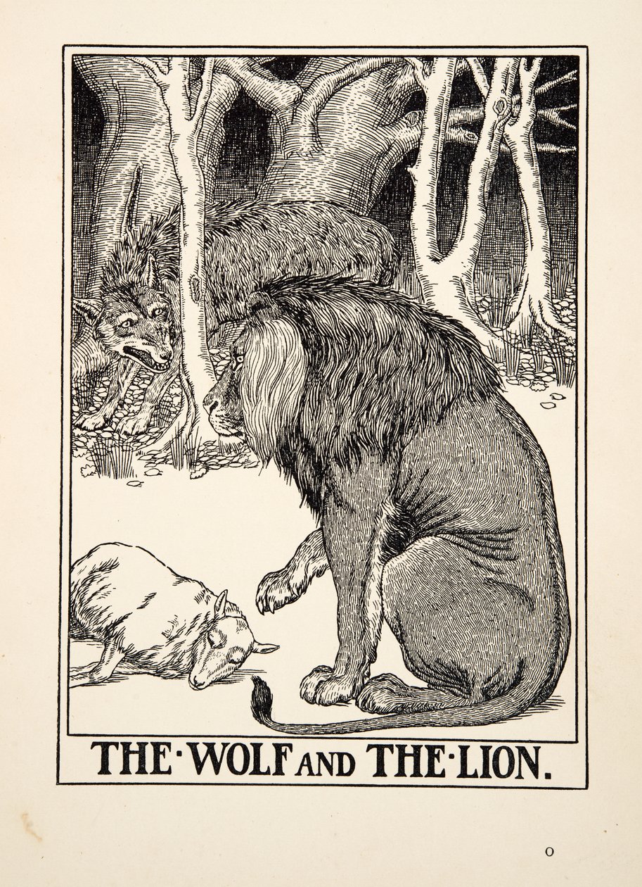 Vargen och lejonet, från Aesops hundra fabler, pub.1903 (gravyr) av Percy J. Billingshurst