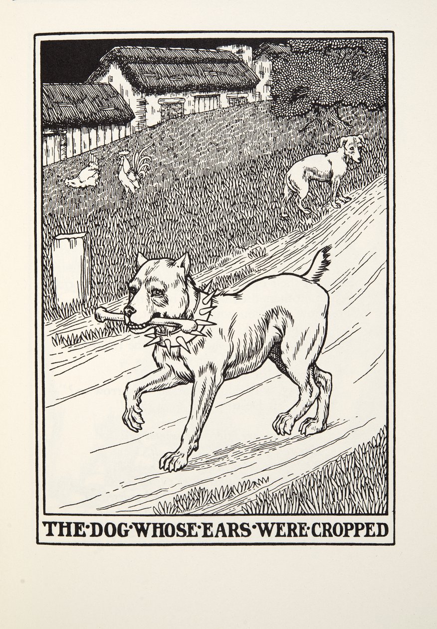 Hunden vars öron beskurits, från Fontaine Fables, pub. 1905 av Percy J. Billingshurst