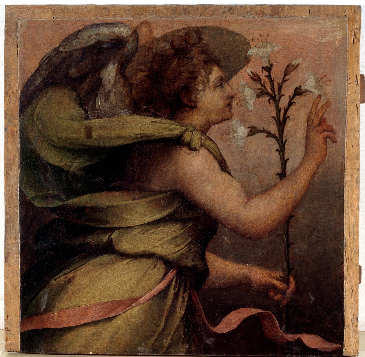 Bebådelsens ängel, detalj (olja på trä, ca 1535) av Perino del Vaga