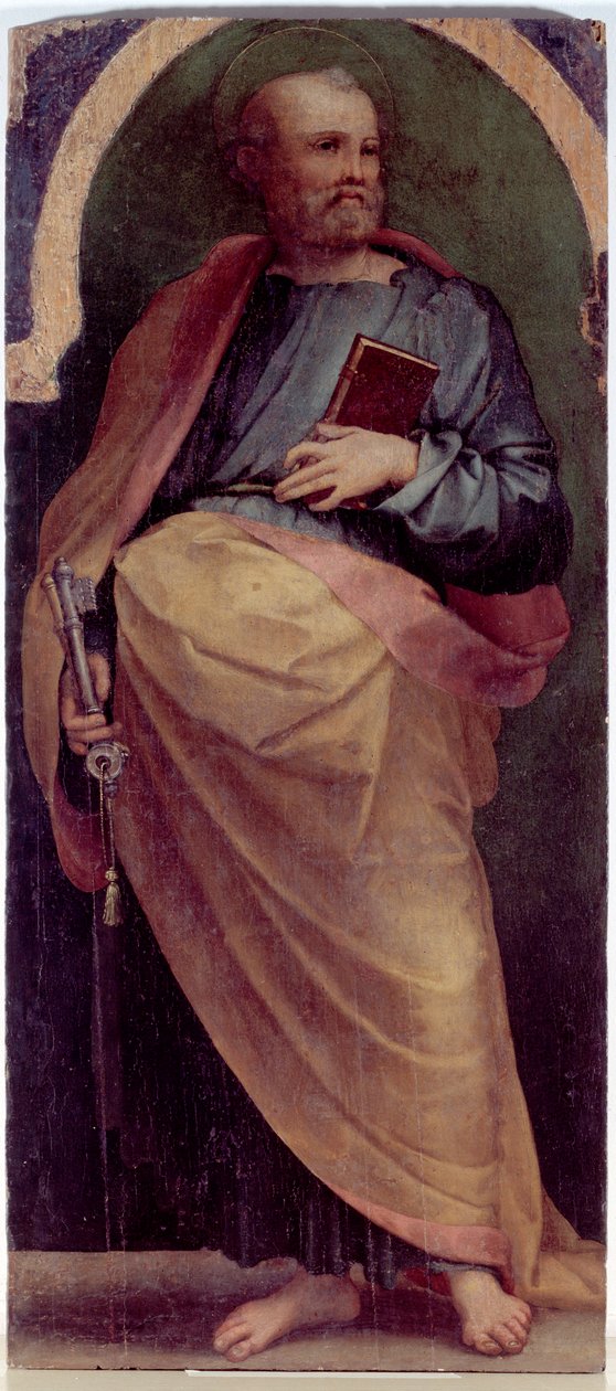 St Peter, sidopanel (olja på trä, ca 1535) av Perino del Vaga