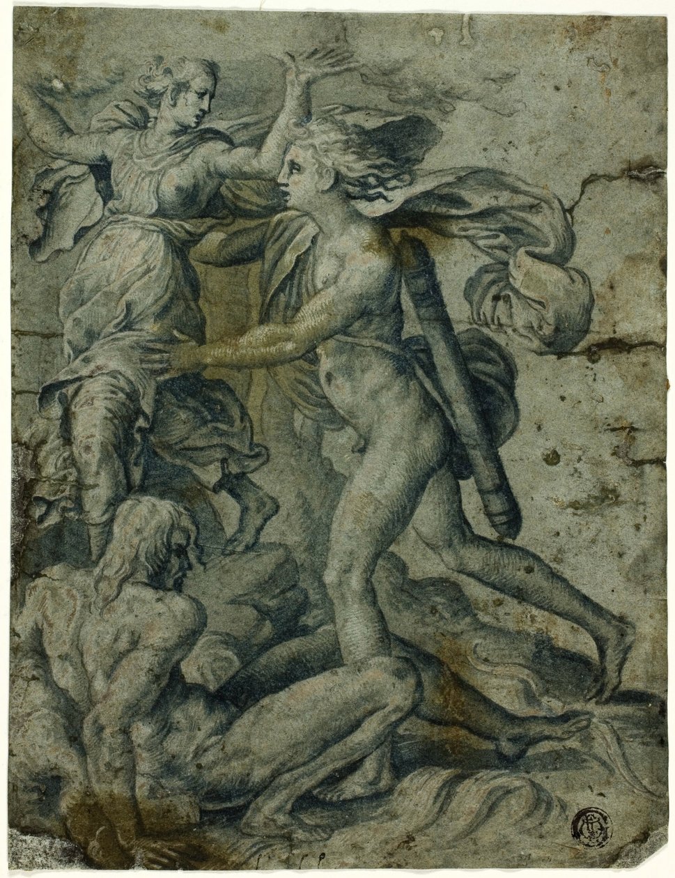 Apollo och Daphne av Perino del Vaga