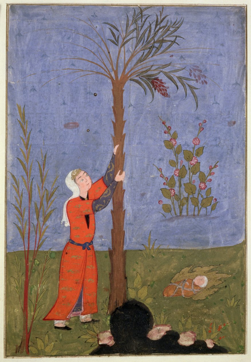 53(d) Mary Gripping the Dadel Palm, persisk miniatyr, Qazvin av Persian School