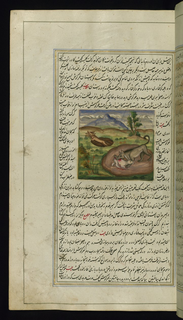 En schakal slukar en hare från Lights of Canopus, 1847 av Persian School