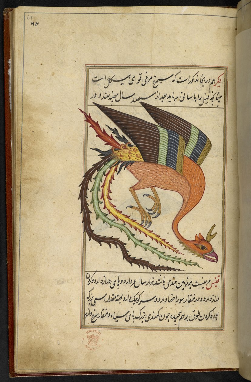 Lägg till MS 15241 f.64r The simurgh, en iransk åskfågel, från 