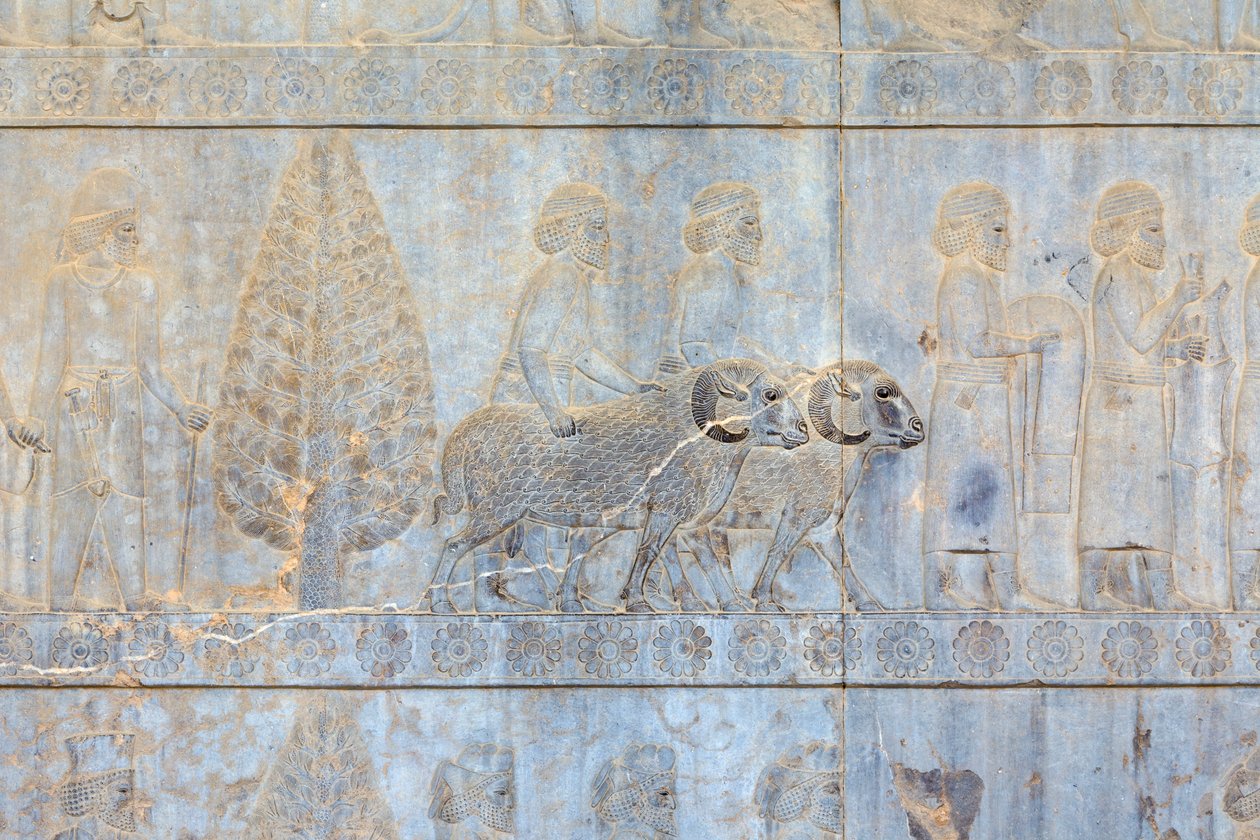Basreliefer vid väggarna i Apadana-palatset och trappan, Persepolis, Iran (sandsten) av Persian School