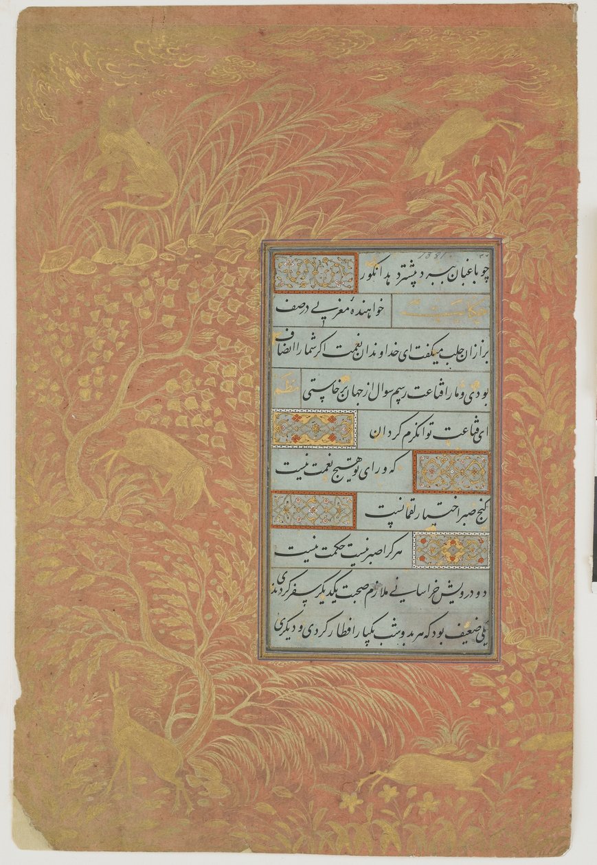Folio av kalligrafi, Iran, Safaviddynastin (bläck, ogenomskinlig akvarell och guld på papper) av Persian School