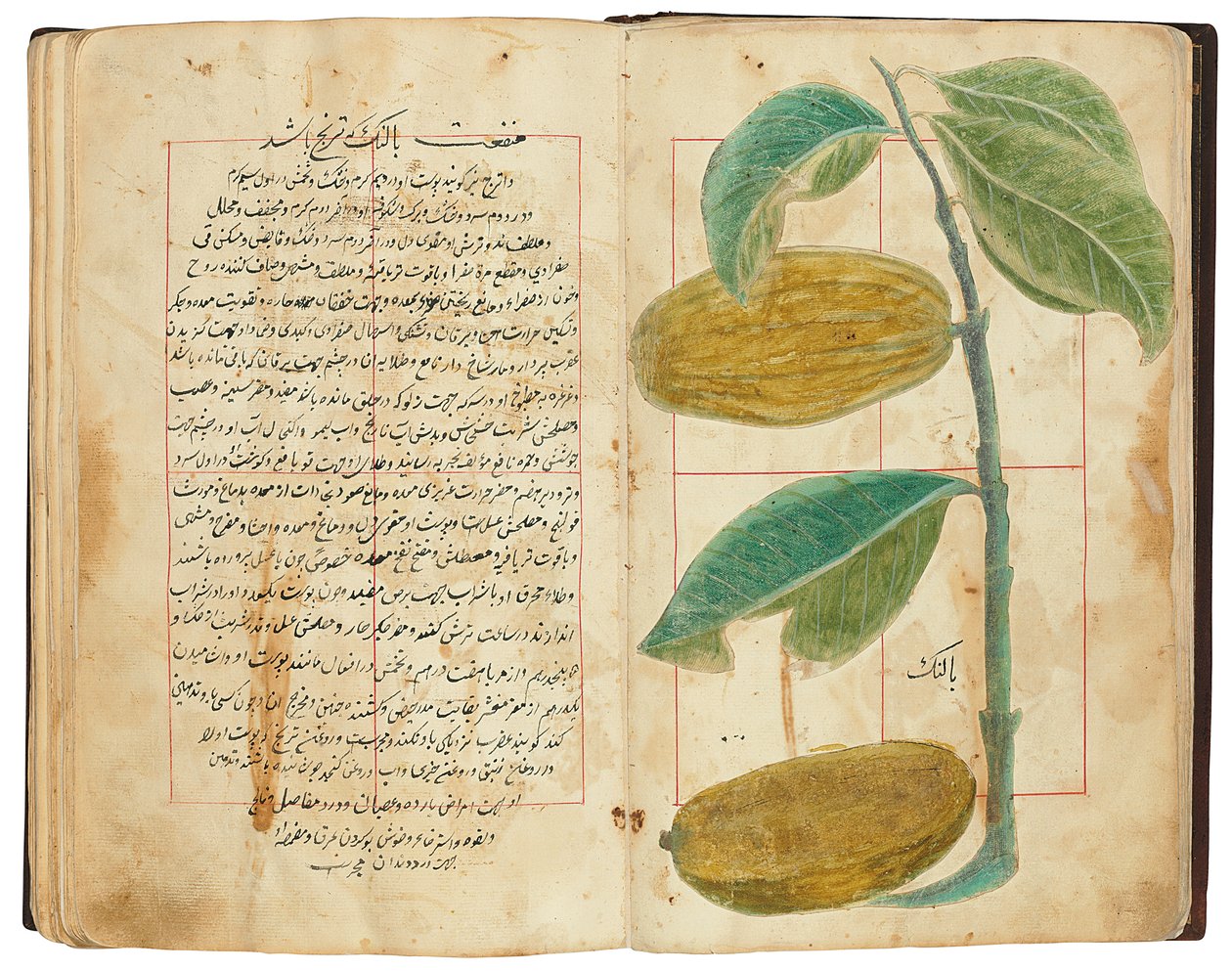 Hassan Bin Baqir Bin Jarrah: Ghalzar Al-Raihain, Qajar Iran av Persian School