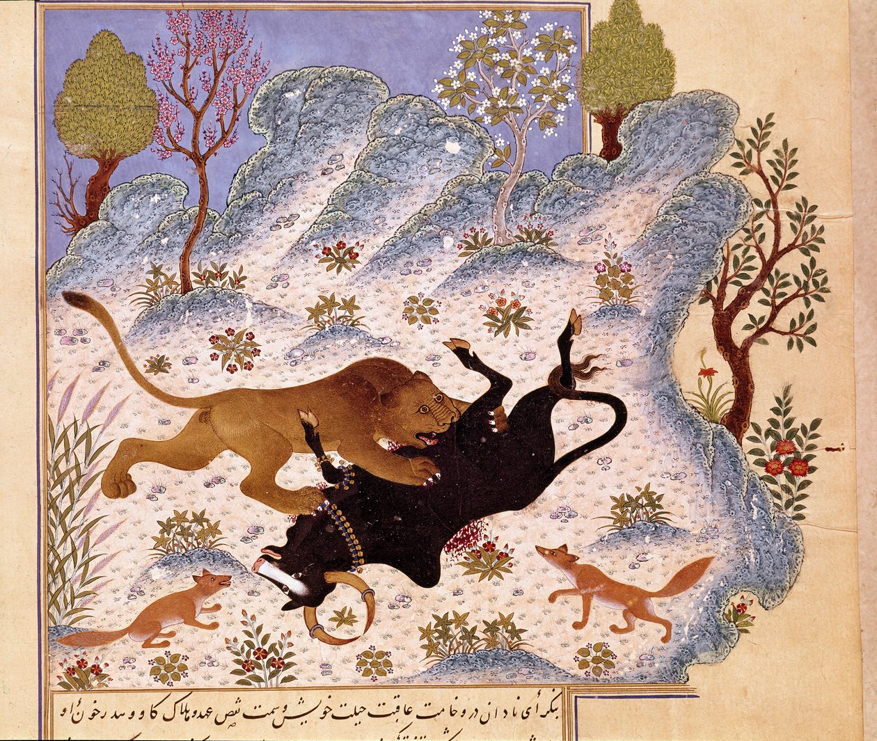 Lejon attackerar en tjur Page of a Kalila och Dimna av Persian School