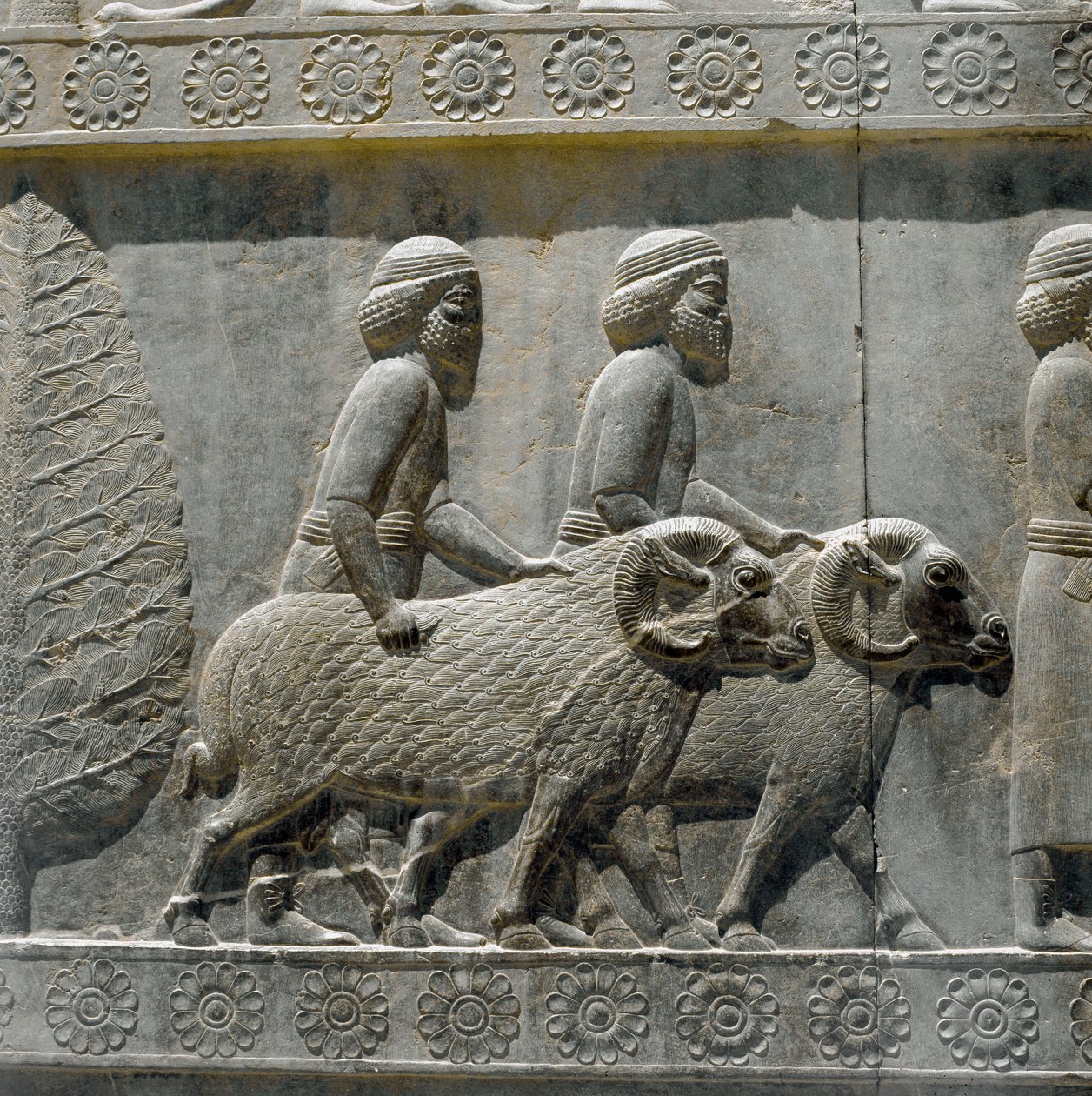 Sogdians ger gåvor till Darius I . Reliefer av den östra trappan i Apadana, 600-talet f.Kr av Persian School